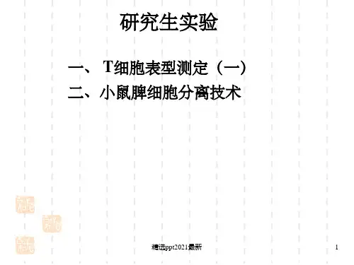 T细胞表型及脾细胞分离