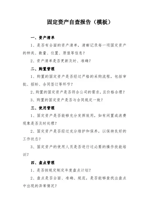 固定资产自查报告(模板)