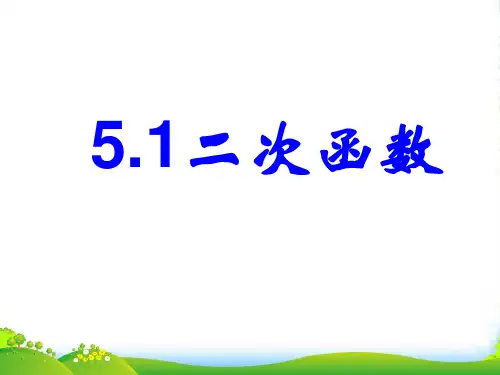 苏科版九年级数学下册第五章《二次函数》课件