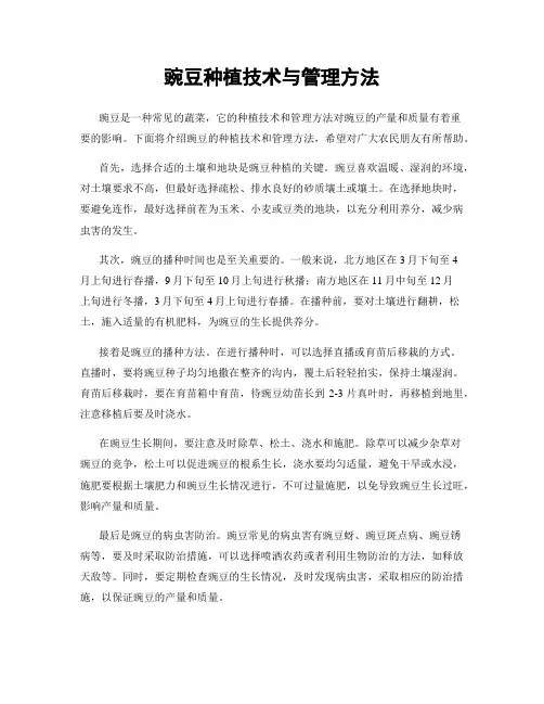 豌豆种植技术与管理方法