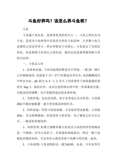 斗鱼好养吗？该怎么养斗鱼呢？