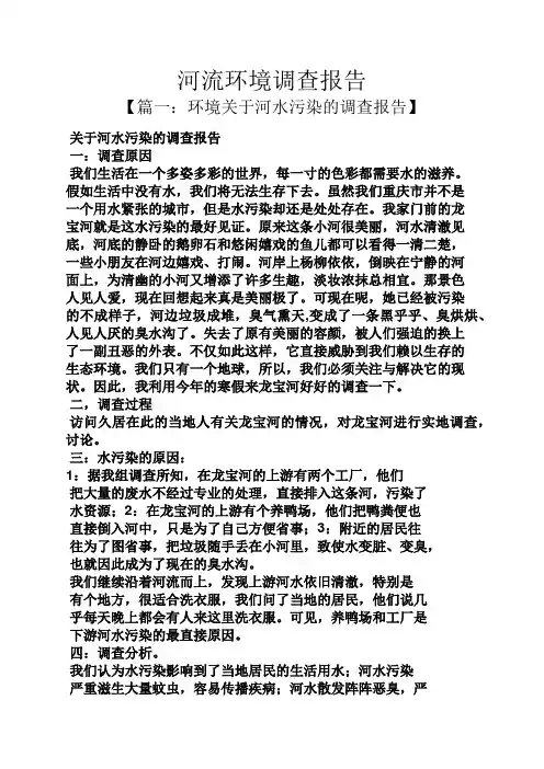 工作报告之河流环境调查报告