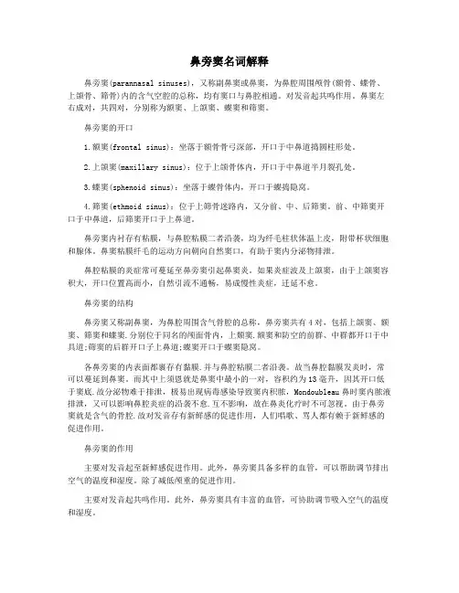 鼻旁窦名词解释