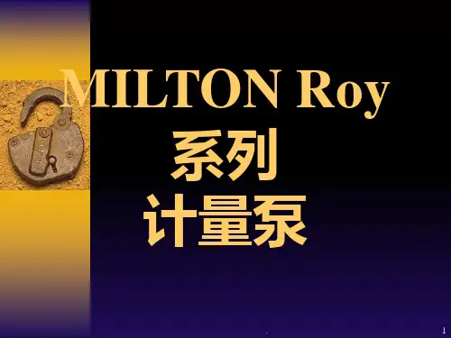 MROY计量泵PPT课件