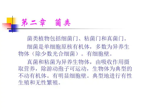 菌类植物包括细菌门(精)