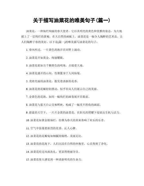 关于描写油菜花的唯美句子(精选两篇)