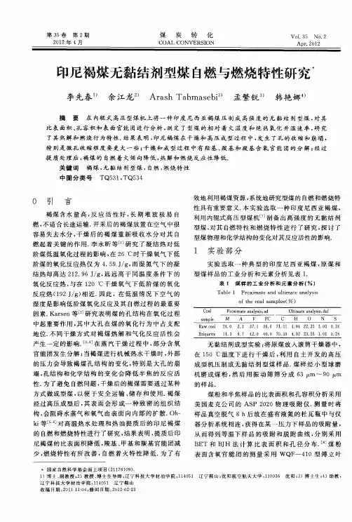 印尼褐煤无黏结剂型煤自燃与燃烧特性研究