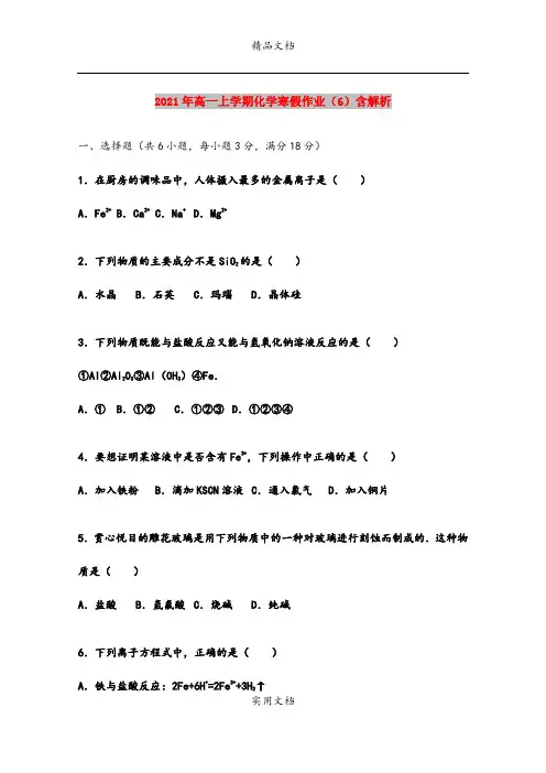 2021年高一上学期化学寒假作业(6)含解析