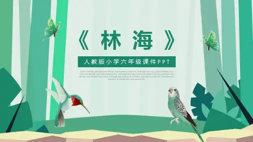 人教版六年级-林海(语文)