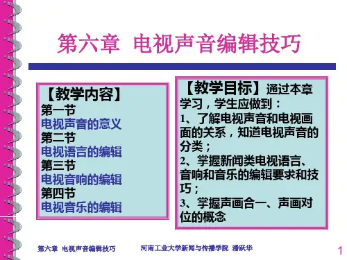第六章 电视声音编辑技巧