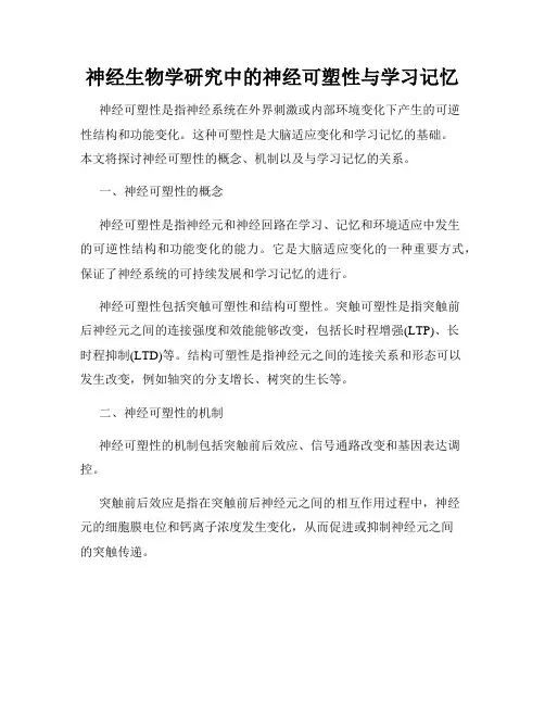 神经生物学研究中的神经可塑性与学习记忆