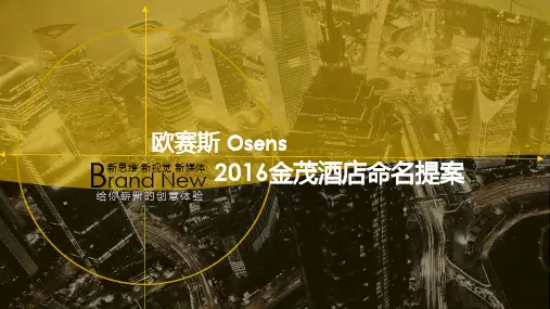 欧赛斯金茂集团品牌创意规划项目策略发想方案案例模板