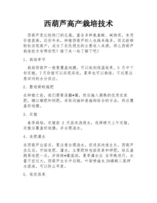 西葫芦高产栽培技术
