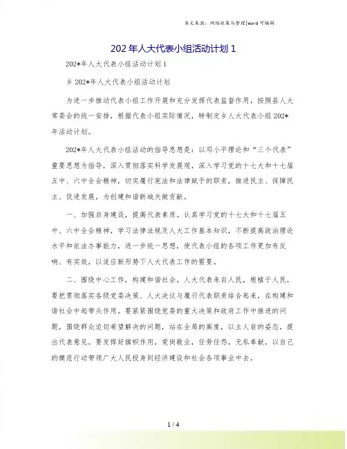 202年人大代表小组活动计划1