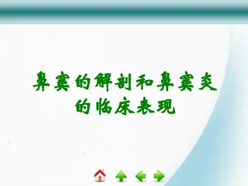 鼻窦的解剖和鼻窦炎的临床表现