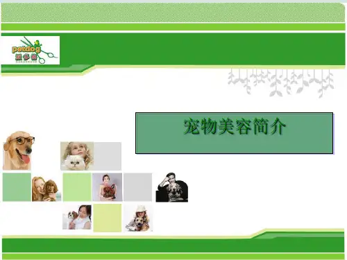 宠物美容培训课件(ppt 62页)