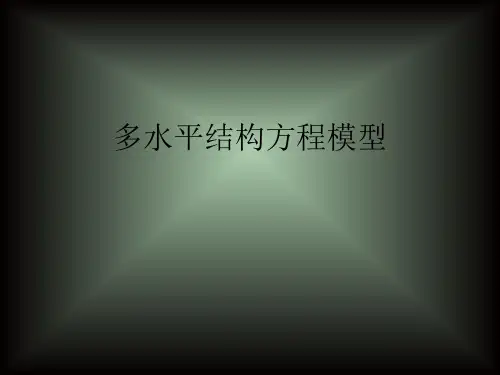 多水平结构方程模型 ppt课件