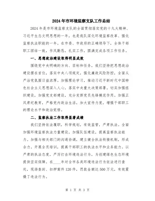 2024年市环境监察支队工作总结