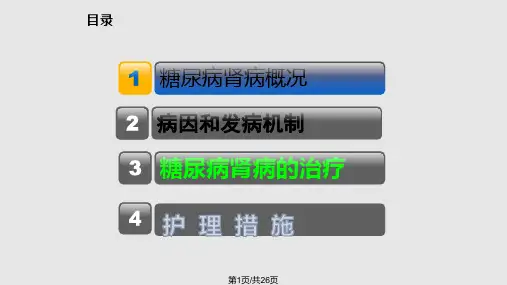 糖尿病肾病PPTPPT课件