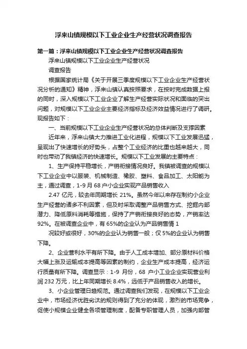 浮来山镇规模以下工业企业生产经营状况调查报告