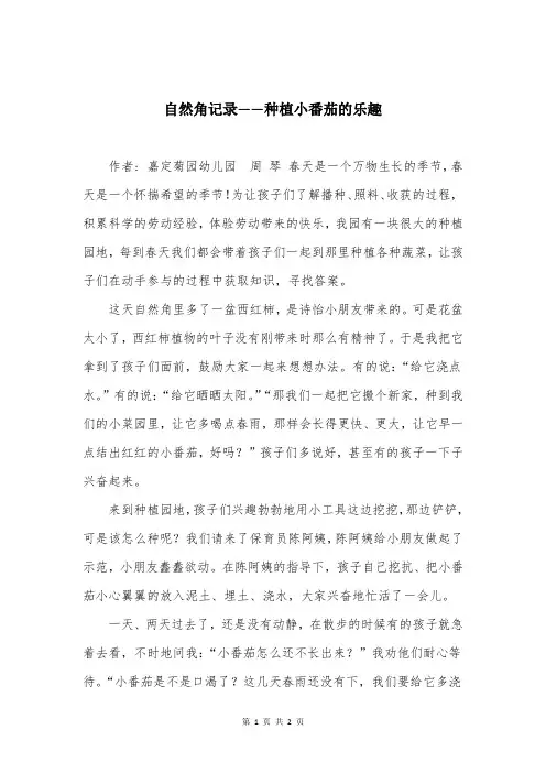 自然角记录——种植小番茄的乐趣
