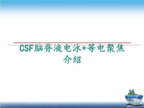 最新CSF脑脊液电泳+等电聚焦介绍讲学课件