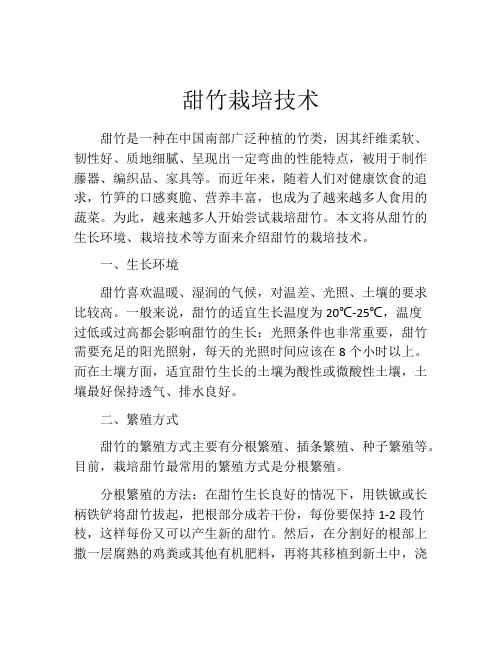 甜竹栽培技术