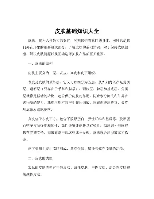 皮肤基础知识大全