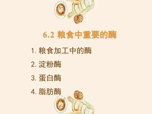 6.4.16.4粮食中重要的酶