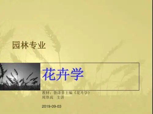 花卉学绪论-PPT课件-PPT精选文档