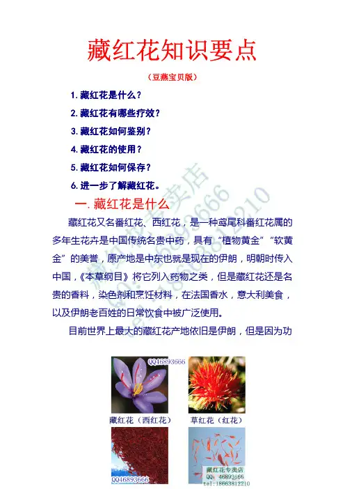 藏红花知识要点-豆燕宝贝专用版