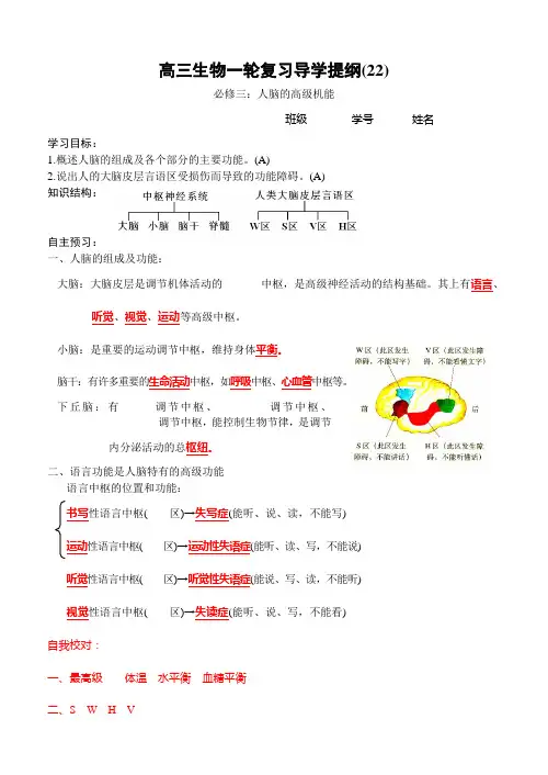 人脑的高级机能