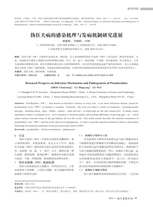 伪狂犬病的感染机理与发病机制研究进展