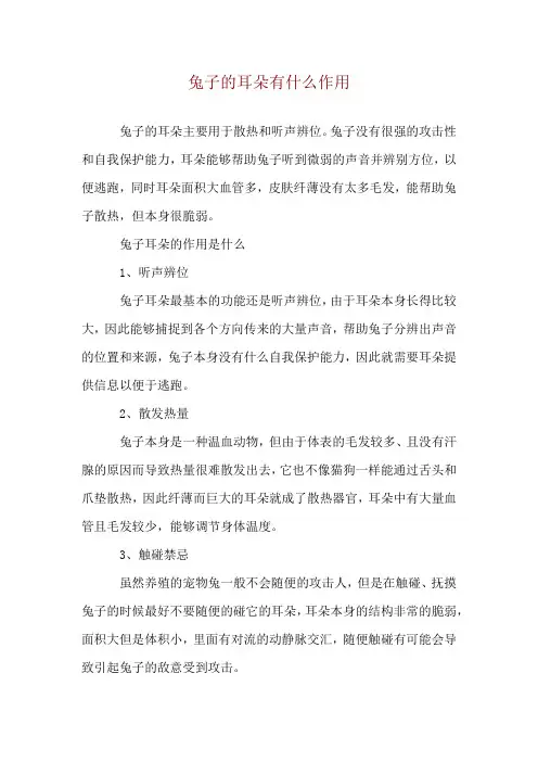兔子的耳朵有什么作用