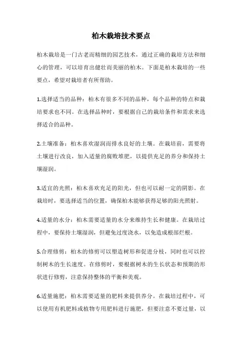 柏木栽培技术要点