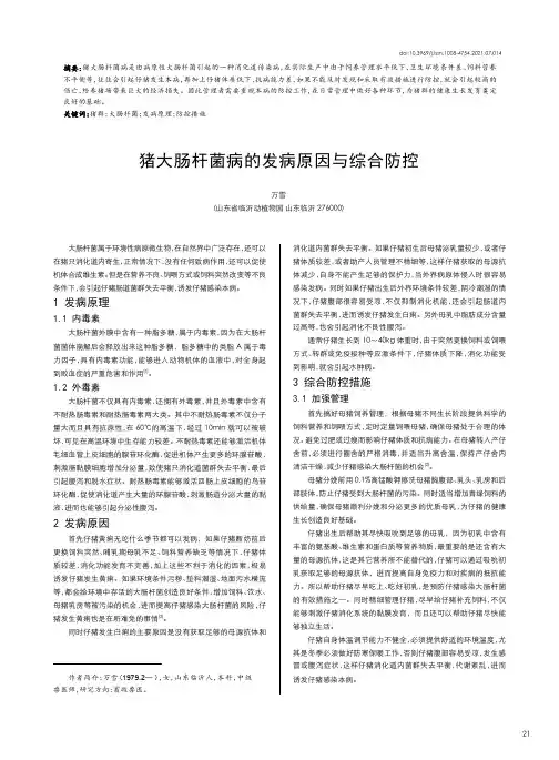 猪大肠杆菌病的发病原因与综合防控