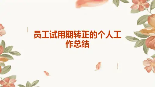 员工试用期转正的个人工作总结PPT