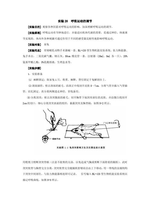试验20呼吸运动的调节试验目的观察各种因素对呼吸运动的影响