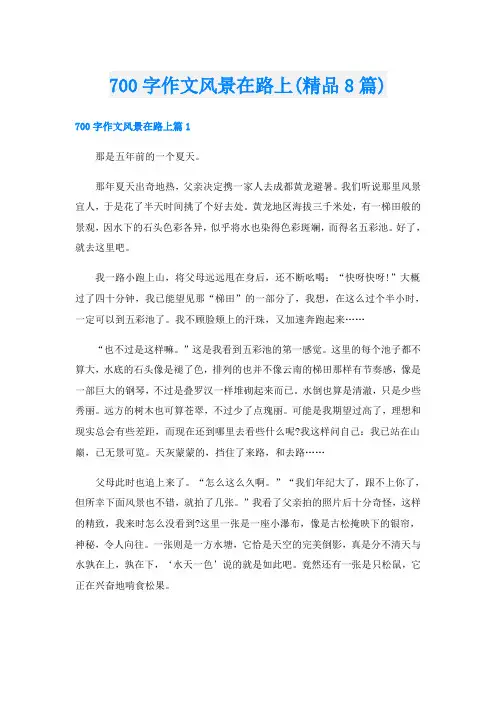 700字作文风景在路上(精品8篇)