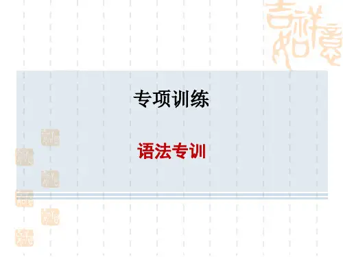 译林牛津版八年级下册英语 专项训练 语法专训