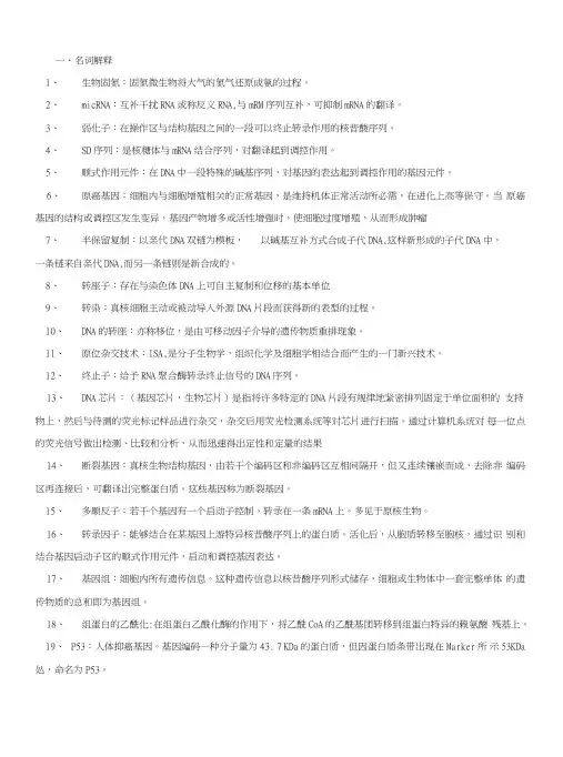 分子生物学期末试题及答案.doc