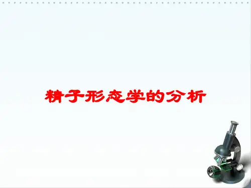 精子形态学的分析培训课件