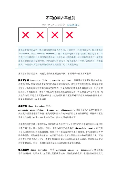 不同薰衣草的区别