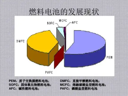 燃料电池PPT
