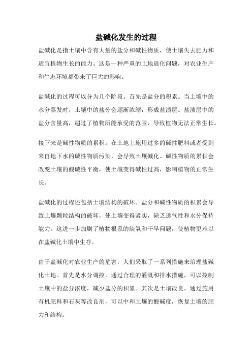 盐碱化发生的过程