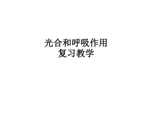 光合和呼吸作用复习ppt课件