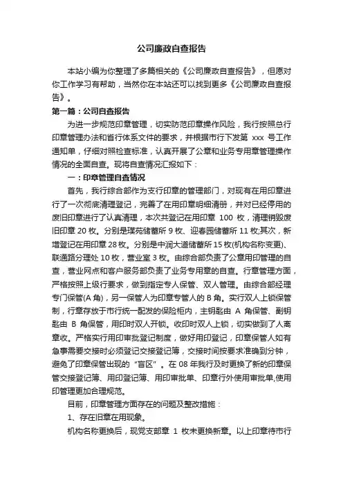 公司廉政自查报告
