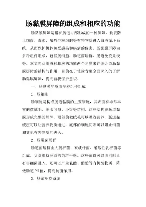 肠黏膜屏障的组成和相应的功能