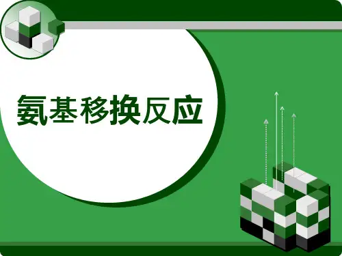 氨基移换反应