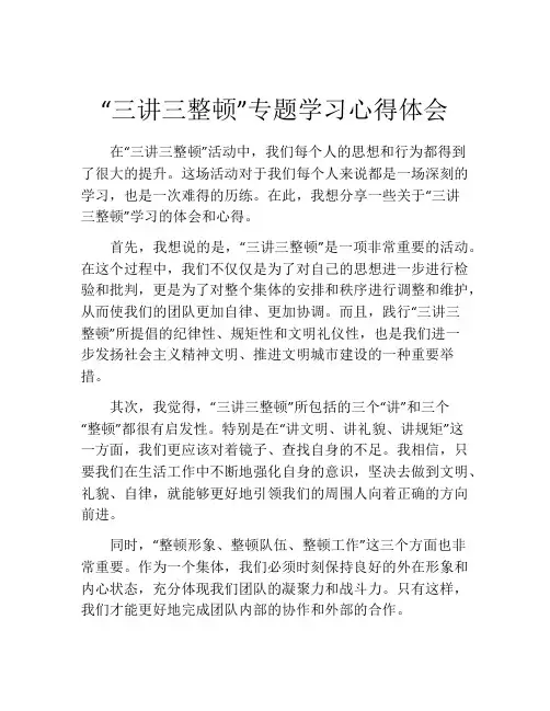 “三讲三整顿”专题学习心得体会